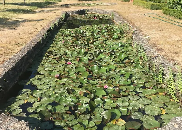 Villa Chateau De Lassay - Charming Castle For Rent In Sarthe *